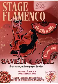 Stage de FLAMENCO