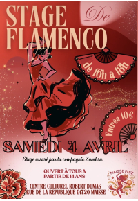 Stage de FLAMENCO